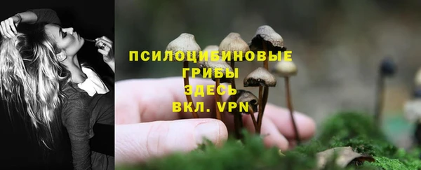 мяу мяу мука Беломорск