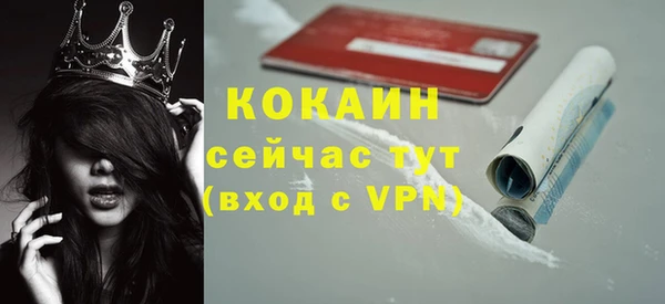 мяу мяу мука Беломорск