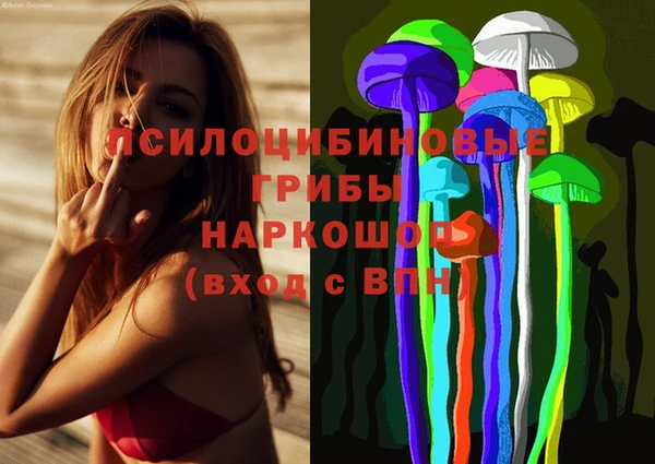 мяу мяу мука Беломорск