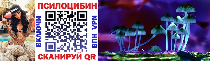 Галлюциногенные грибы GOLDEN TEACHER  OMG зеркало  Полесск 